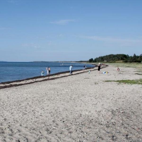 Ålbæk Strand