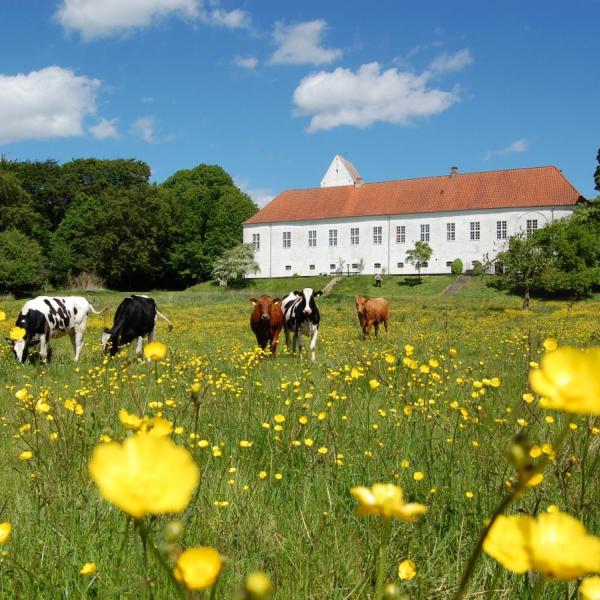 Ørslev Kloster 