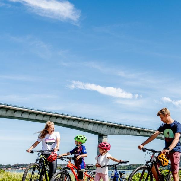 Familie cykeltur på Mors med Limfjorden & Sallingsundbroen i baggrunden