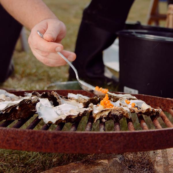 Østerssafari, gastronomi