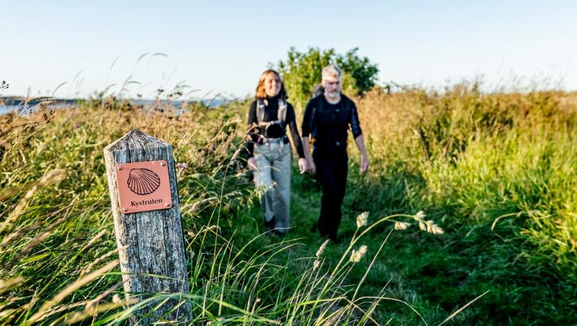 Vandring på Kystruten i den skønne natur på Mors