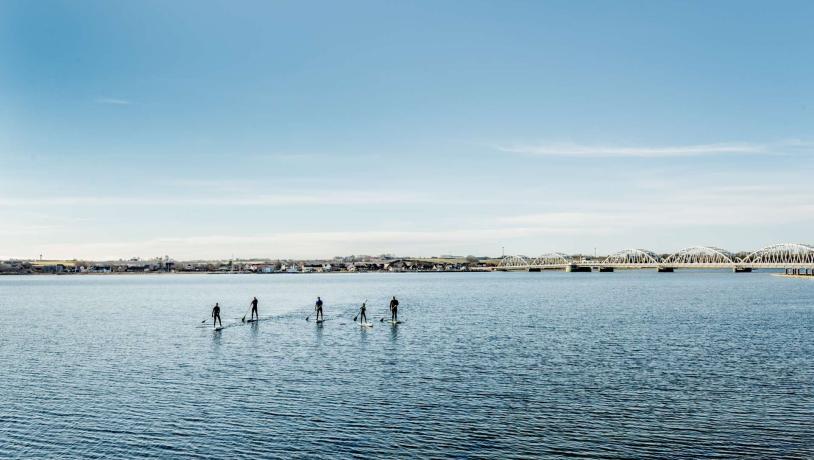 SUP på Limfjorden