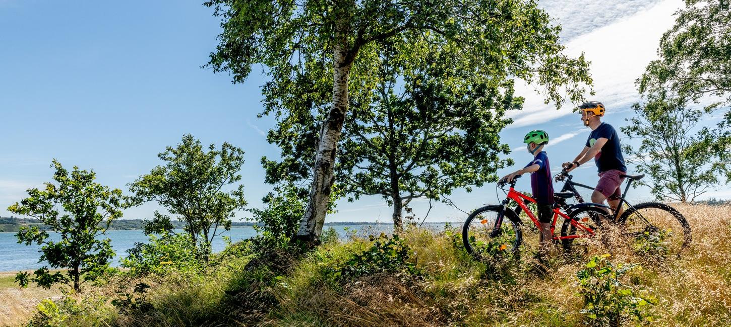 Mors, Cykel, Natur, Familie, Limfjorden