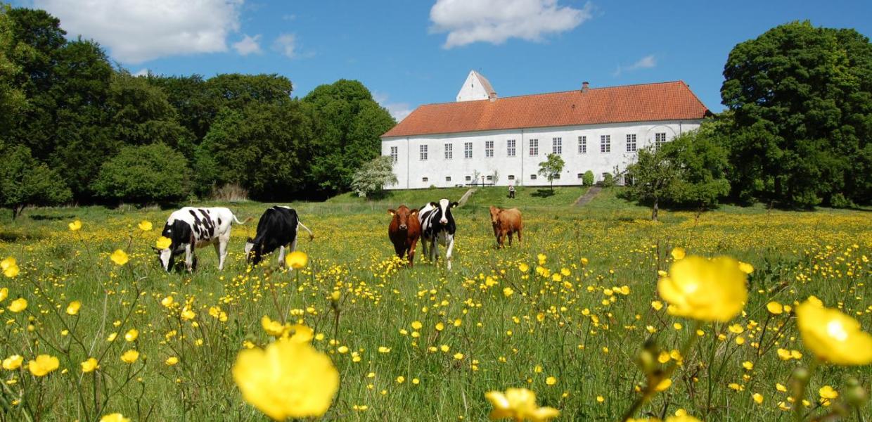 Ørslev Kloster 