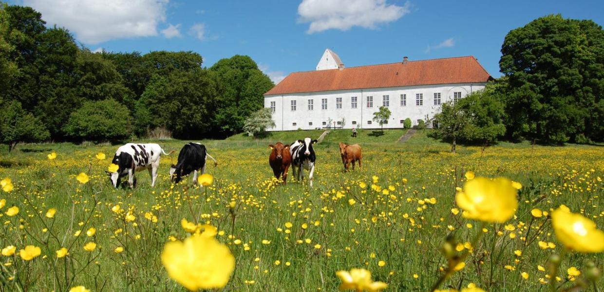 Ørslev Kloster 