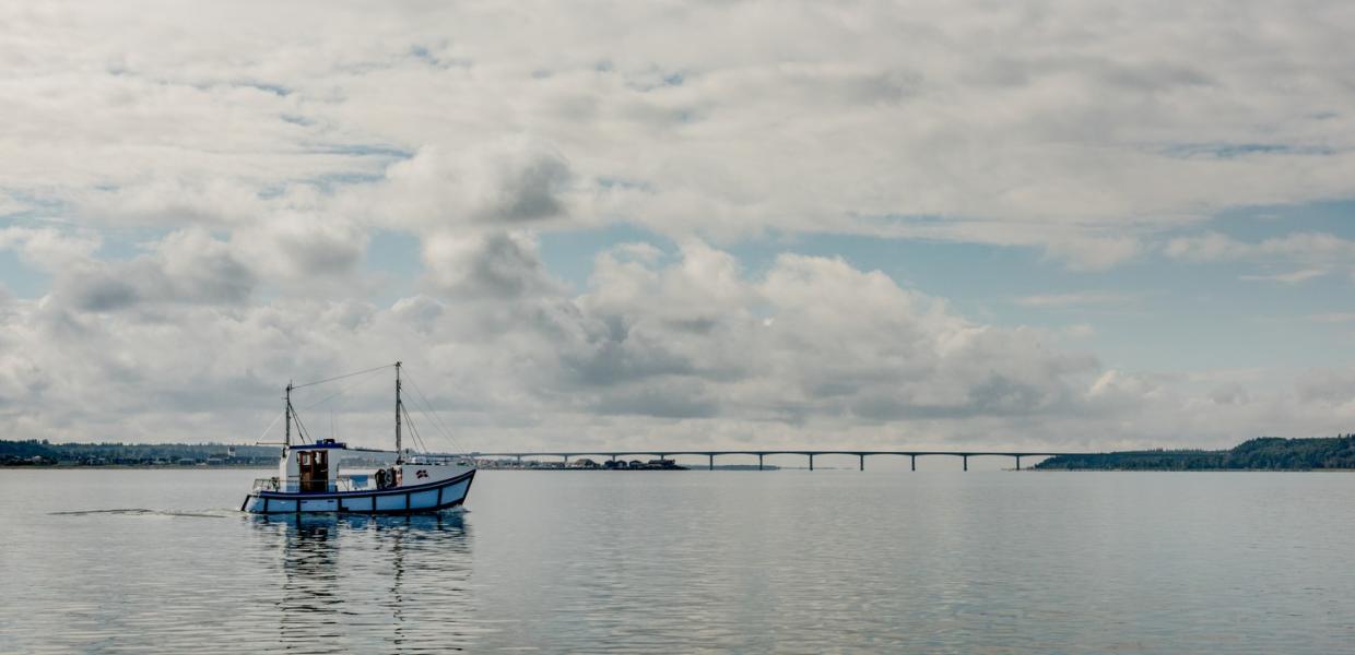 Limfjorden, Fiskekutter, Sallingsundbroen