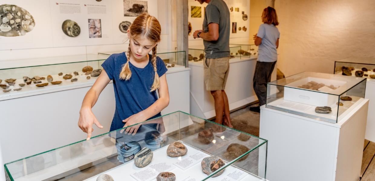 Fossil og molermuseet