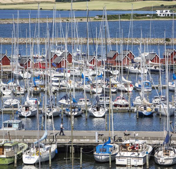 Struer Havn