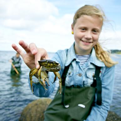 Pige med krabbe Glyngøre