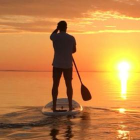 SUP på Limfjorden